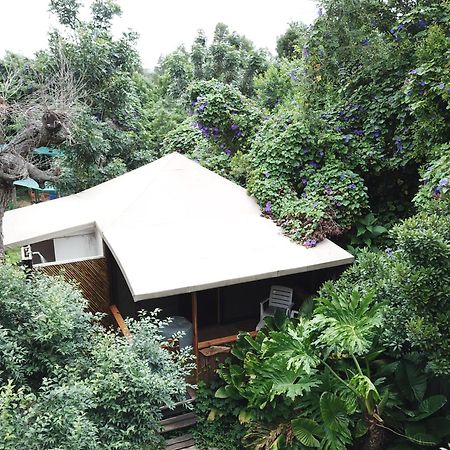 Mali Boutique Lodge & Tube 'N Axe Budget Accommodation Stormsrivier Rum bild