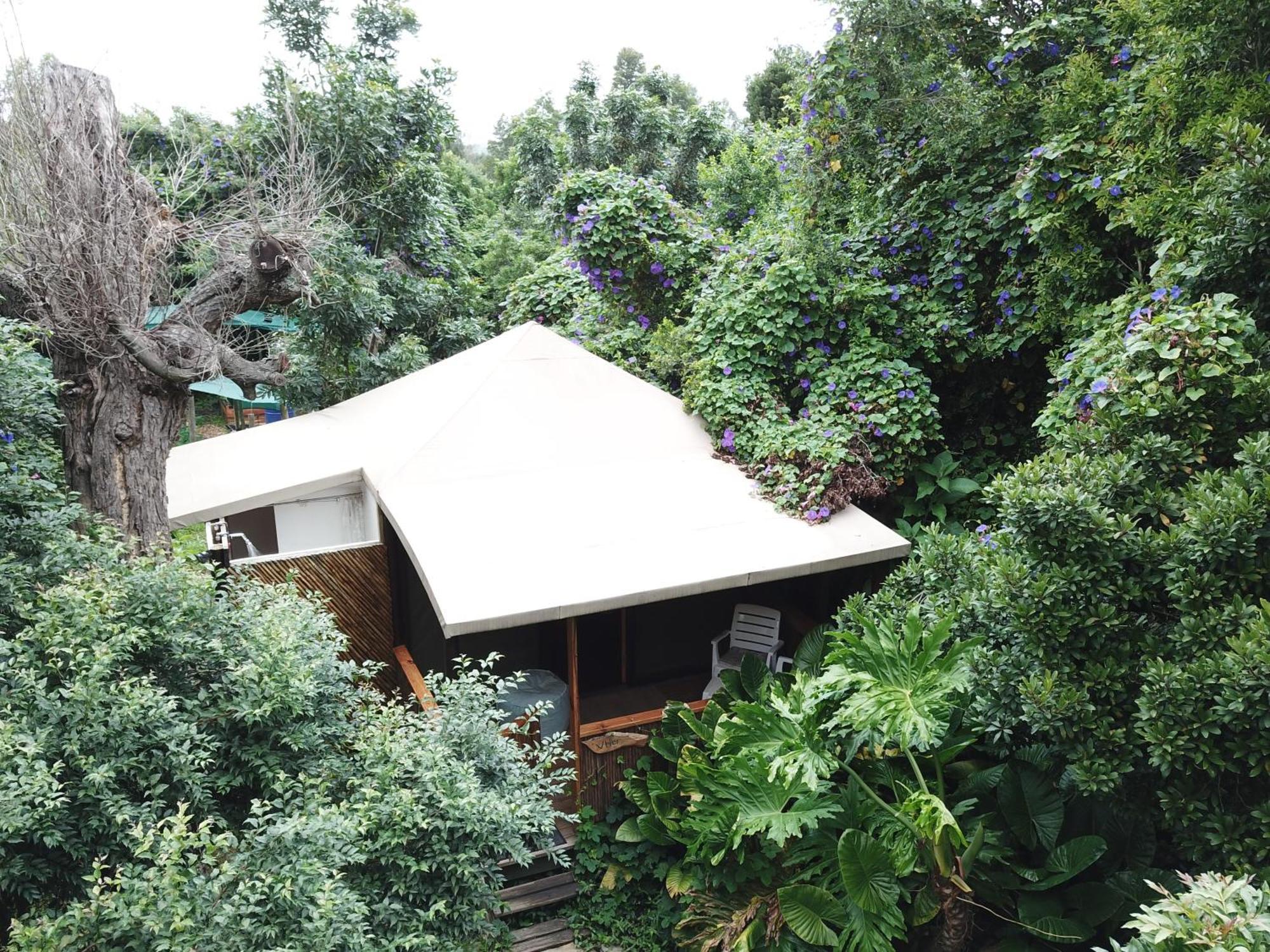 Mali Boutique Lodge & Tube 'N Axe Budget Accommodation Stormsrivier Rum bild